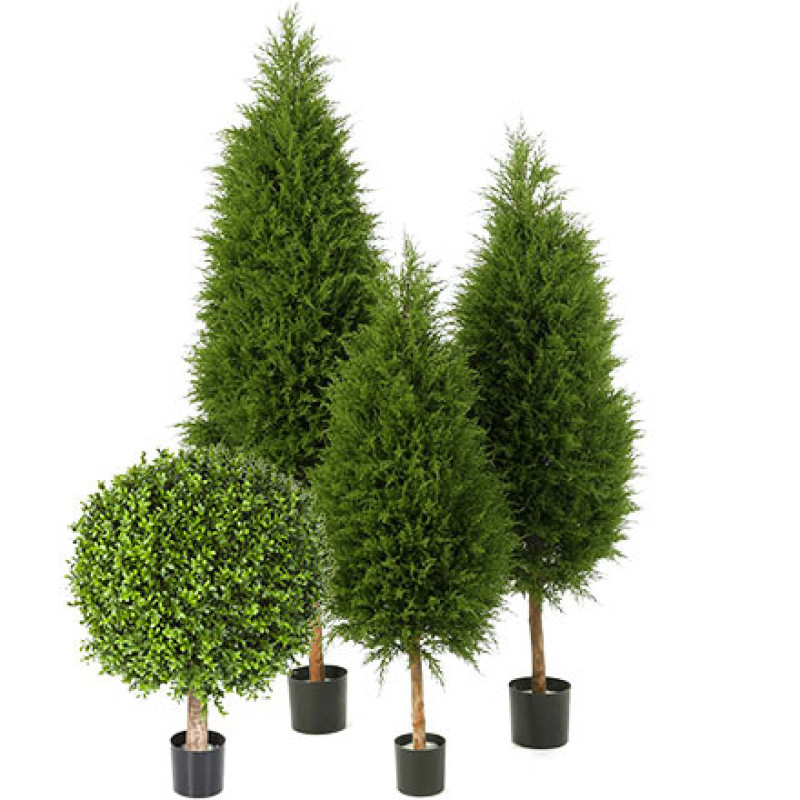 Искусственные уличные растения - купить с доставкой в RePlants.ru