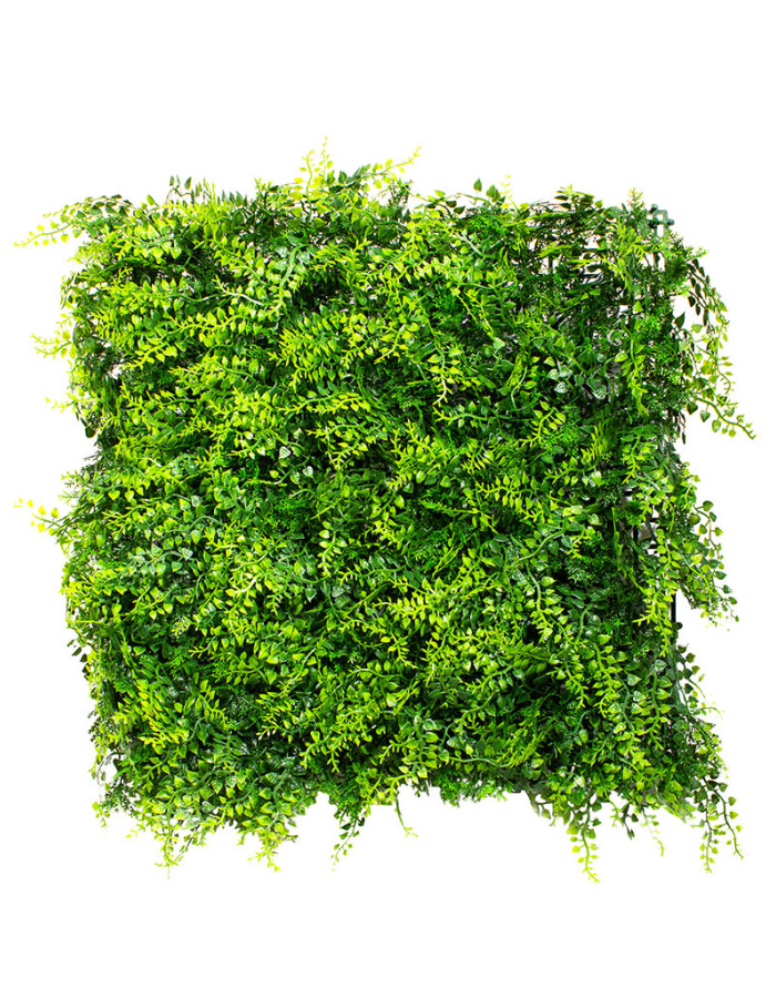 Фитомодули для вертикального озеленения - купить с доставкой в RePlants.ru