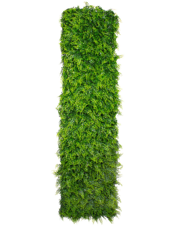 Фитомодули для вертикального озеленения - купить с доставкой в RePlants.ru