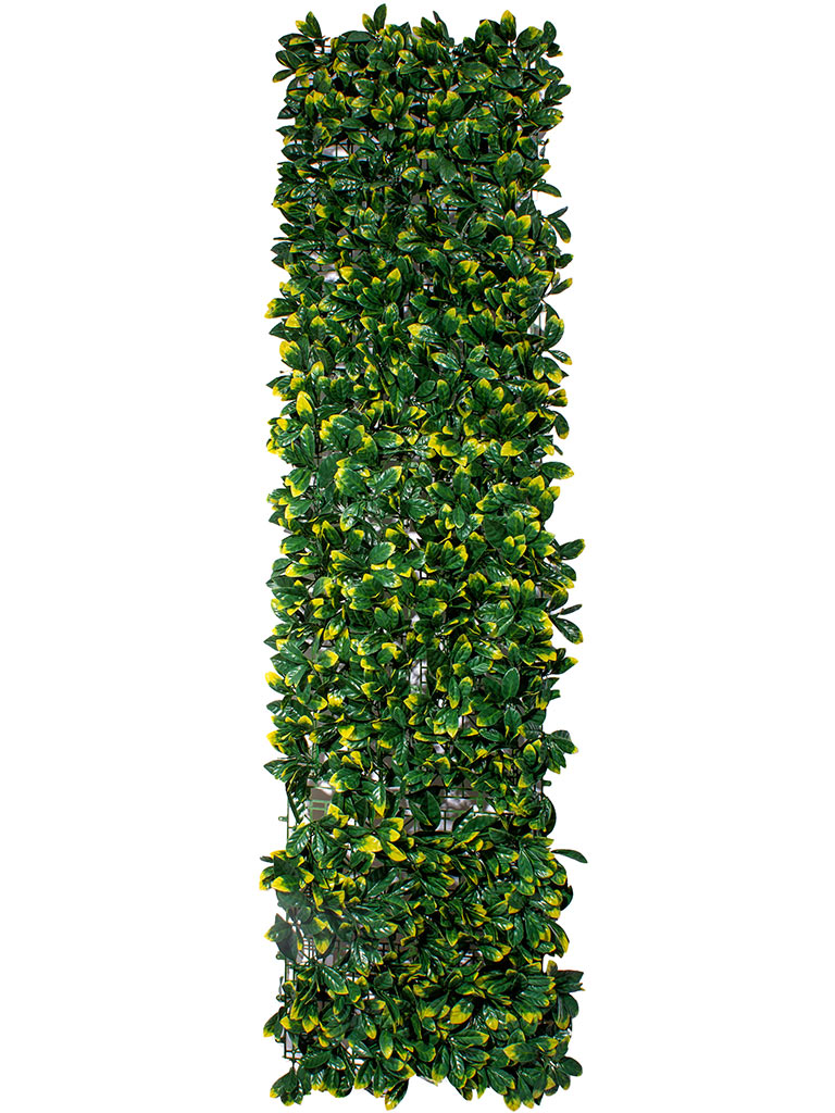 Фитомодуль из искусственных растений №3 (0,25 м²)