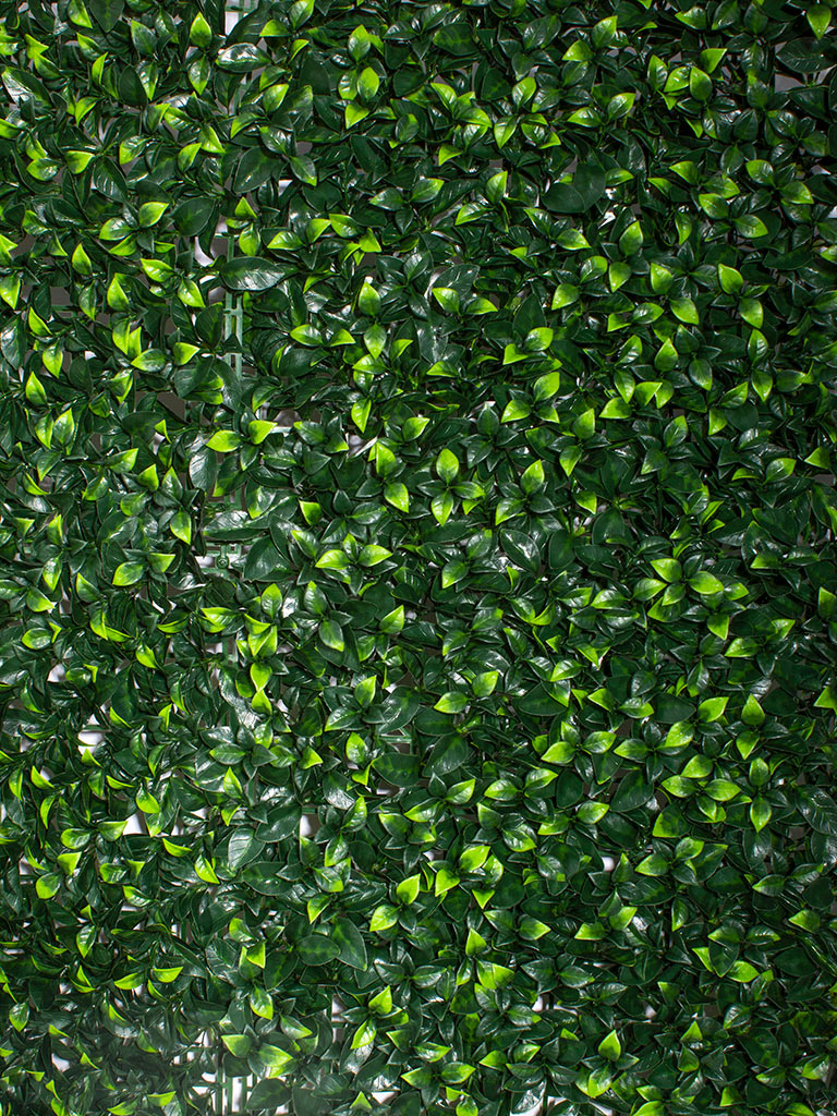 Фитомодуль из искусственных растений №6 (0,25 м²)