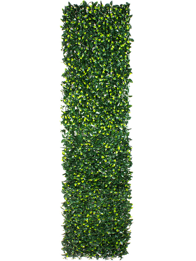 Фитомодуль из искусственных растений №6 (0,25 м²)