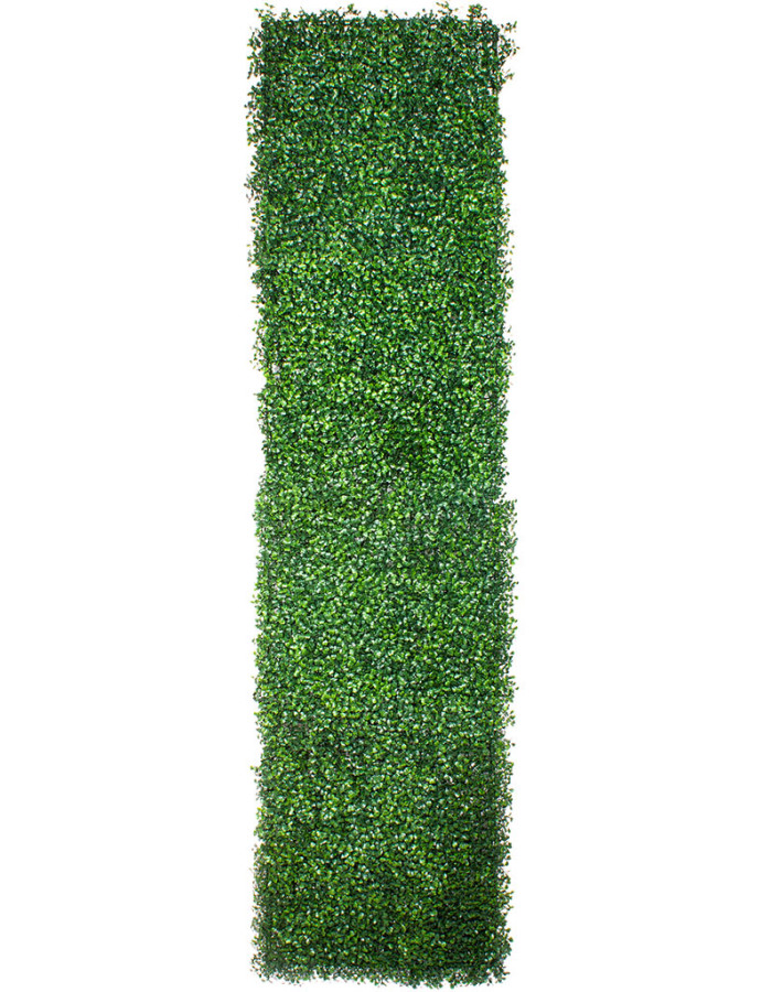 Фитомодули для вертикального озеленения - купить с доставкой в RePlants.ru