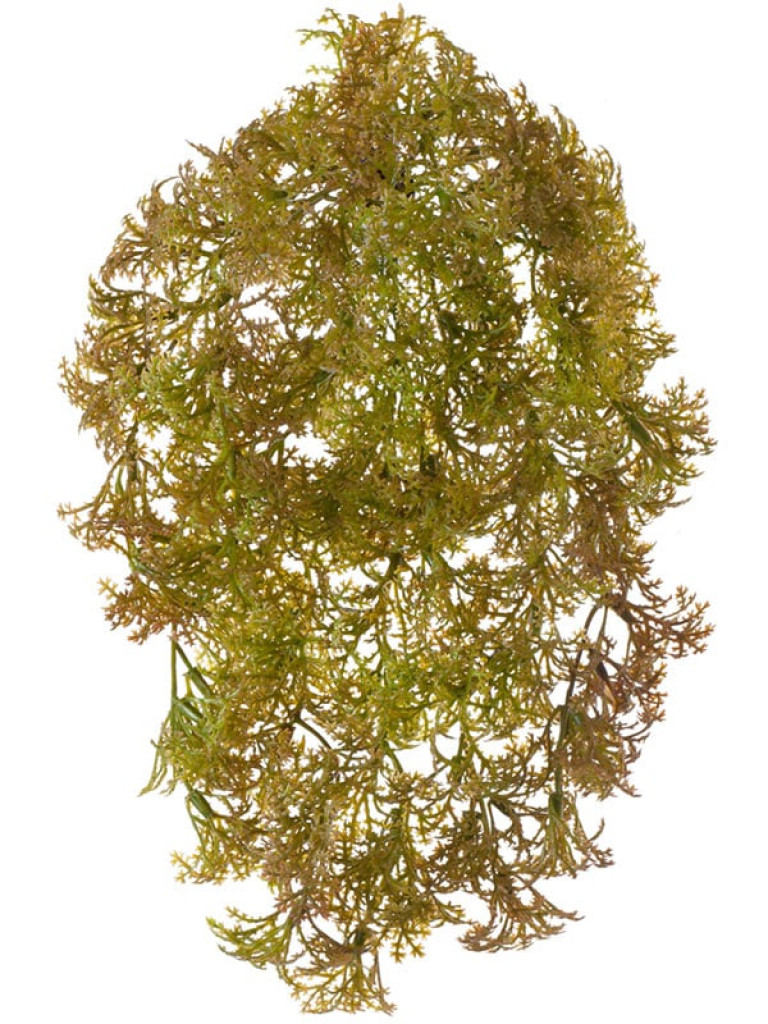 Рясковый мох (Вотер-грасс) куст светло-коричнево-зелёный искусственный
