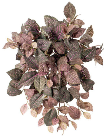 Фиттония Свит ампельная зелёно-розовая искусственная