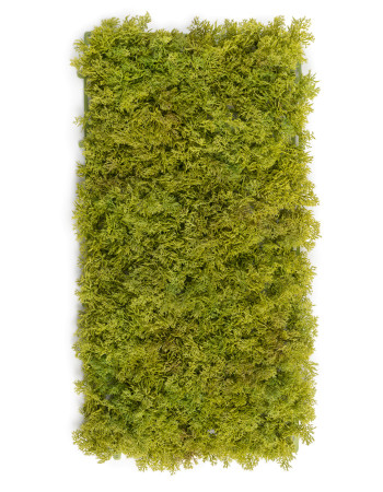Мох Ягель коврик светло-зелёный микс искусственный Мох Ягель коврик светло-зелёный микс искусственный