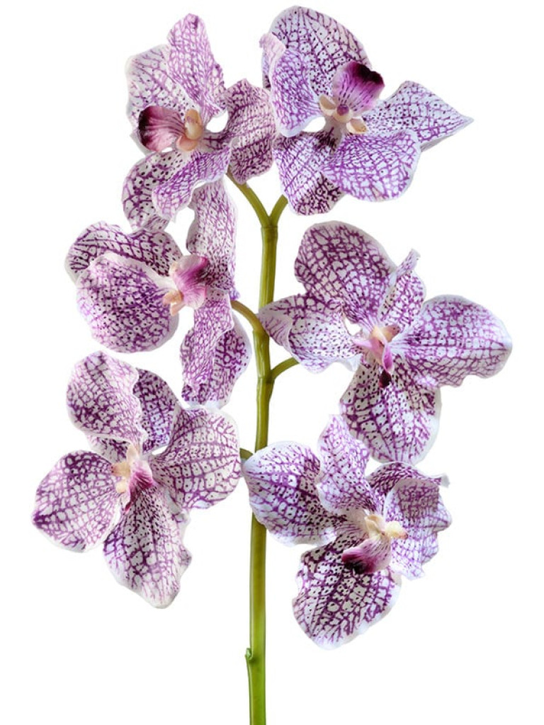 Орхидея Ванда бело-фиолетовая искусственная