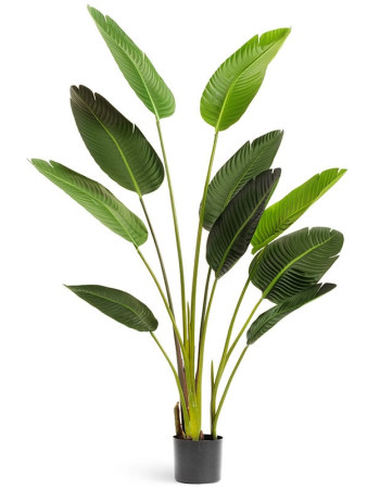 Стрелиция Style (без цветов) зелёная искусственная