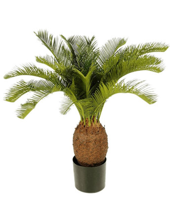 Цикас Революта (Саговник) искусственный