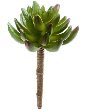 Суккулент Синокрассула зелёная искусственная