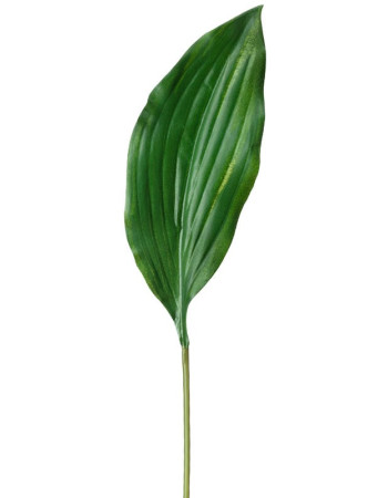 Лист Хосты тёмно-зелёный искусственный Лист Хосты тёмно-зелёный искусственный