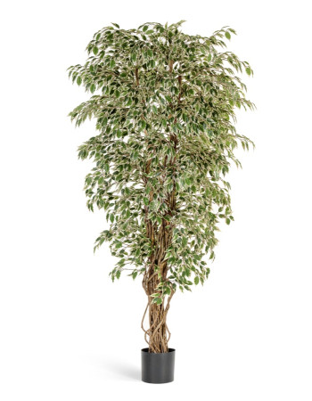 Фикус Гавайский лиана пестролистный искусственный