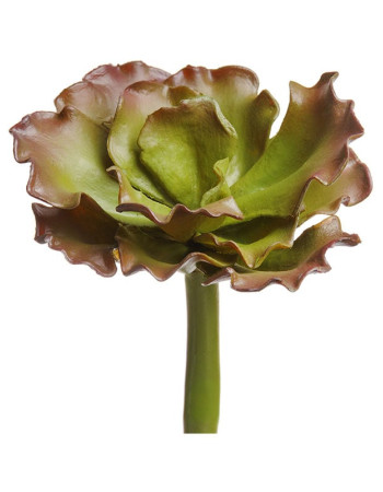 Суккулент Эхеверия Шавиана Трифлс зелёно-бордовая искусственная