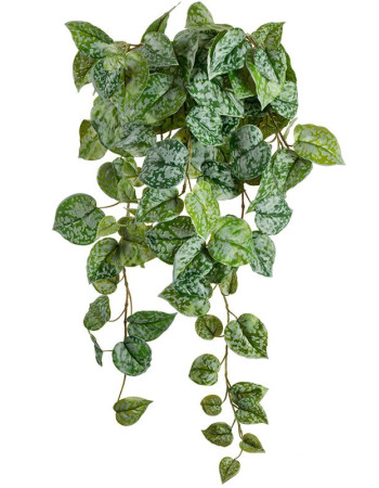 Сциндапсус Пиктус серебристо-зелёный искусственный