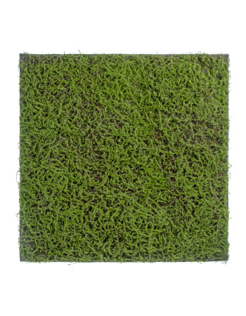 Мох Сфагнум Fuscum зелёный искусственный Мох Сфагнум Fuscum зелёный искусственный