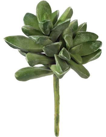 Мини-суккулент Хавортия Трунката Магнифика искусственная