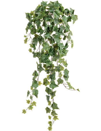 Плющ Английский Олд Тэмпл припыленно-зелёный искусственный