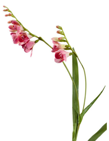 Фрезия тёмно-розовая искусственная