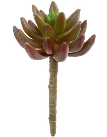 Суккулент Синокрассула бордово-зелёная искусственная