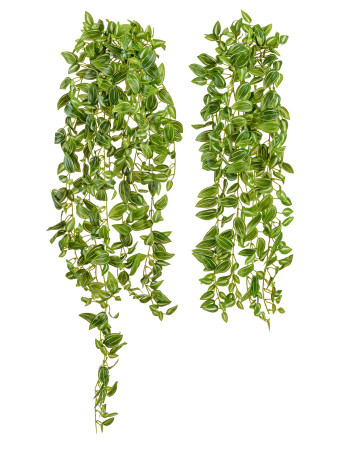 Традесканция бело-зелёная большая искусственная