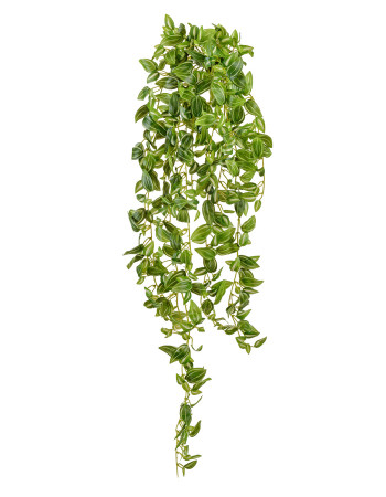 Традесканция бело-зелёная большая искусственная