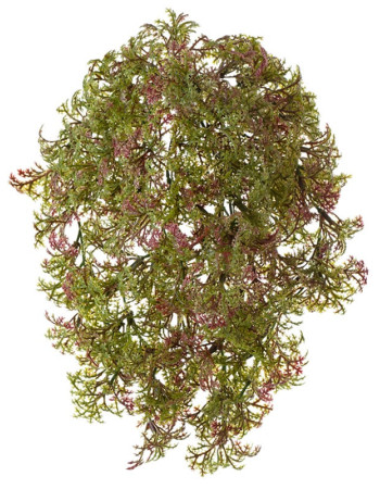 Рясковый мох (Вотер-грасс) куст зелёный с бордо искусственный