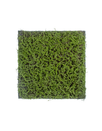 Мох Сфагнум Fuscum зелёный искусственный Мох Сфагнум Fuscum зелёный искусственный