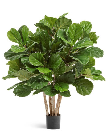 Фикус лировидный (Лирата) куст многоствольный Гранд искусственный