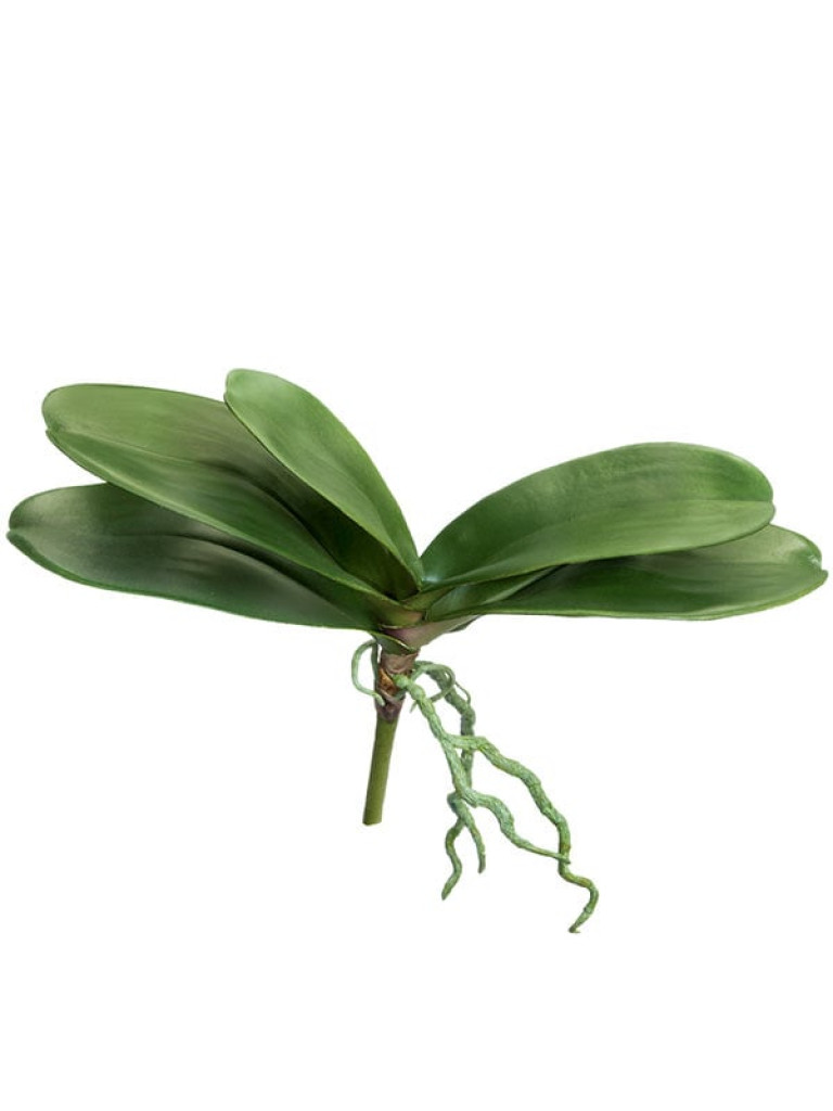 Листья Орхидеи Фаленопсис с корнями большие искусственные