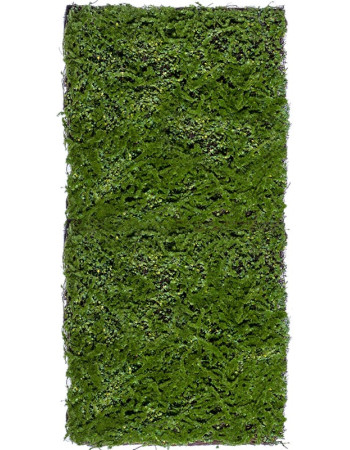 Мох Микс Рясковый-Сфагнум искусственный (полотно) Мох Микс Рясковый-Сфагнум искусственный (полотно)