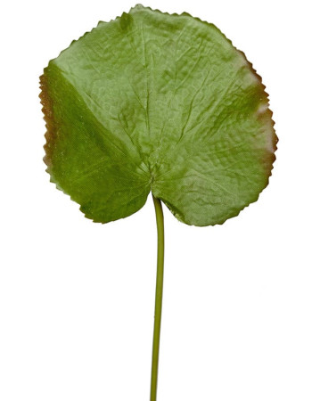 Лист Галакса малый искусственный Лист Галакса малый искусственный