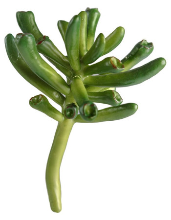 Мини-суккулент Красула Хоббит искусственная