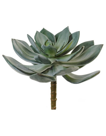 Суккулент Эхеверия Гиббифлора тёмно-зелёная припыленная искусственная