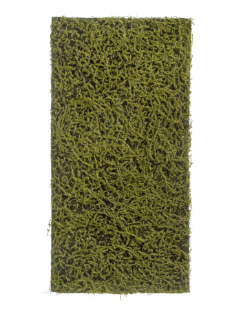 Мох Сфагнум Fuscum оливково-зелёный искусственный Мох Сфагнум Fuscum оливково-зелёный искусственный