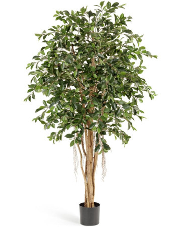 Фикус притупленный (Ретуса) искусственный