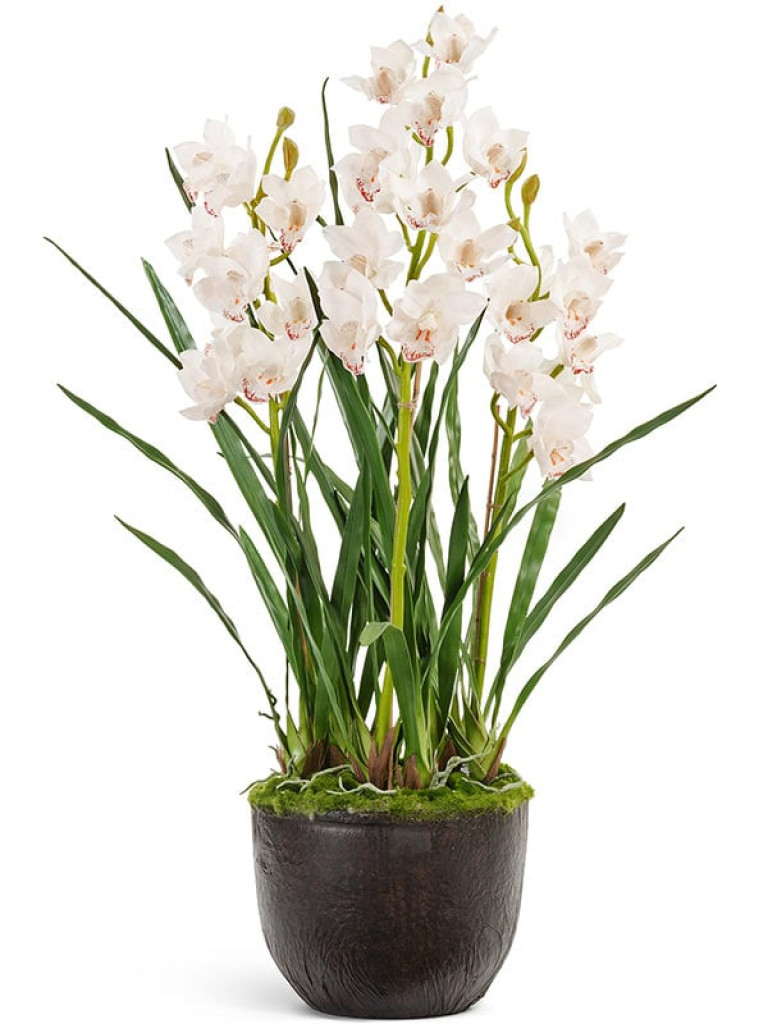 Орхидея Цимбидиум белая с имитацией земли (без кашпо) искусственная