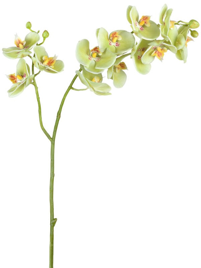 Орхидея Фаленопсис (ветвь) светлый лайм двойная искусственная
