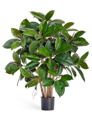 Фикус Эластика Робуста куст зелёный искусственный