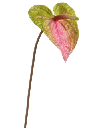 Антуриум зелёно-розовый искусственный Антуриум зелёно-розовый искусственный