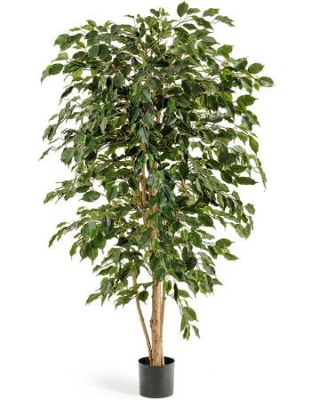 Фикус Бенджамина Нитида зелёный искусственный Фикус Бенджамина Нитида зелёный искусственный