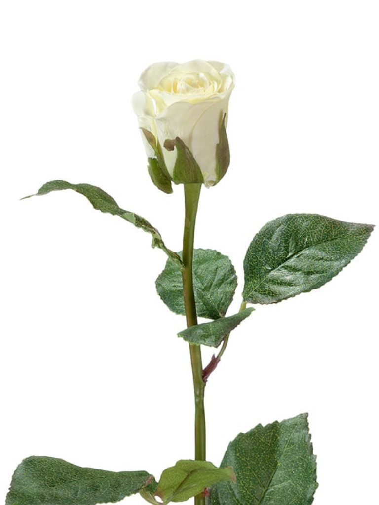 Роза Анабель бело-зелёная искусственная