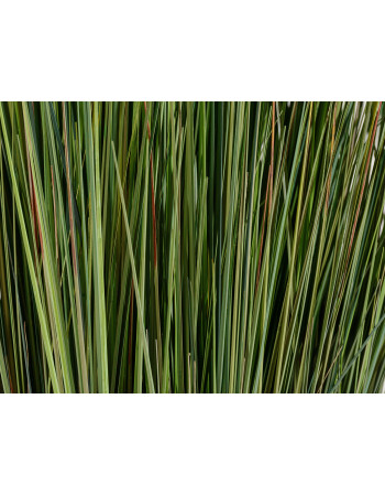 Трава Осока искусственная Трава Осока искусственная