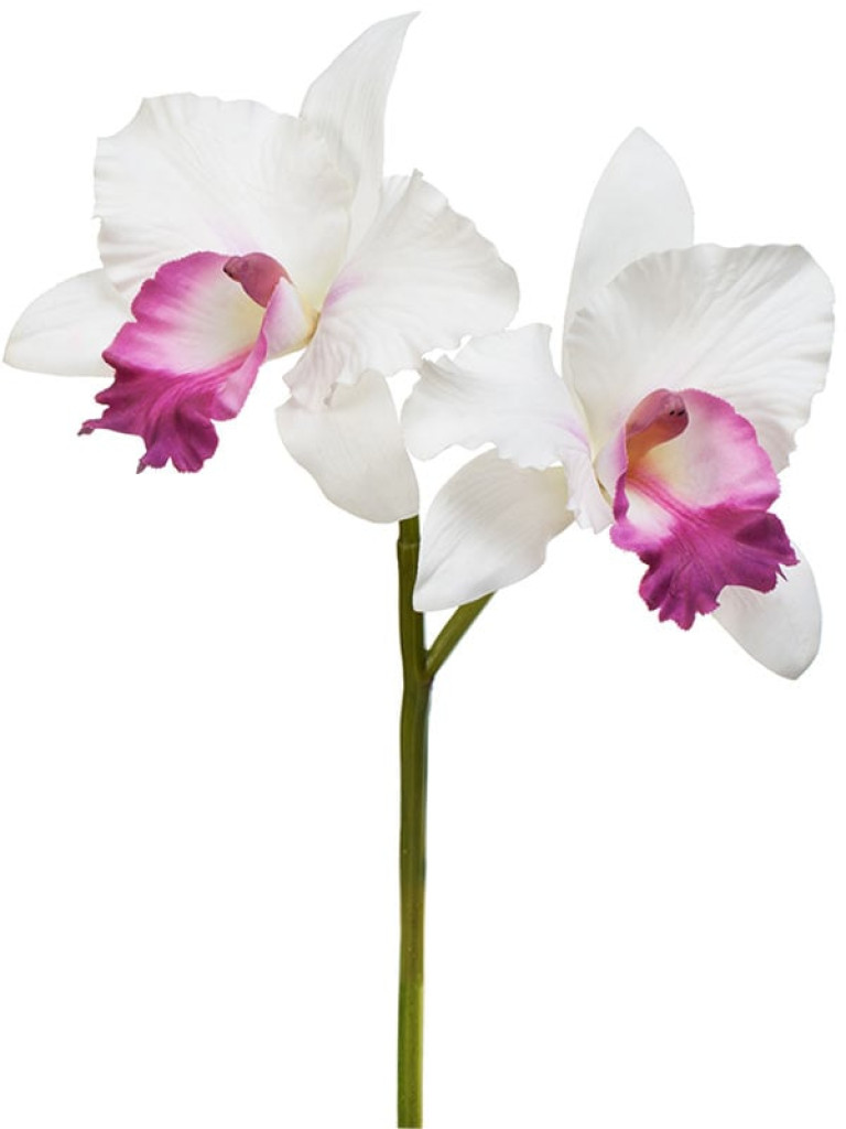 Орхидея Каттлея (ветвь) белая с тёмно-розовым язычком искусственная