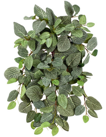 Фиттония Сноу ампельная искусственная