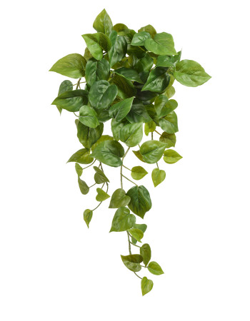 Филодендрон Сканденс ампельный малый (Sensitive Botanic) искусственный