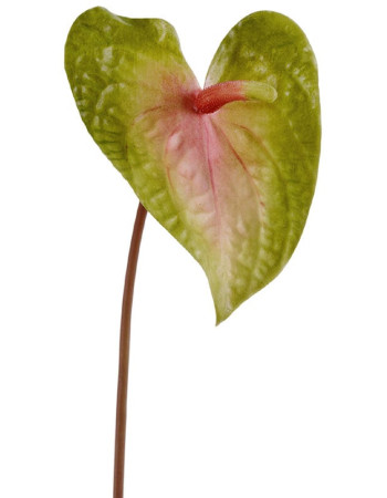 Антуриум Макс светло-зелёный с розовым искусственный Антуриум Макс светло-зелёный с розовым искусственный