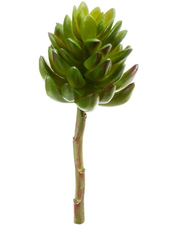 Суккулент Синокрассула зелёная большая искусственная