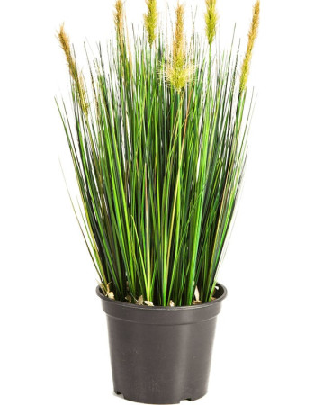 Трава Осока с зелёными султанами искусственная Трава Осока с зелёными султанами искусственная