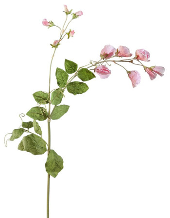 Цветной горошек (ветвь) светло-розовый искусственный