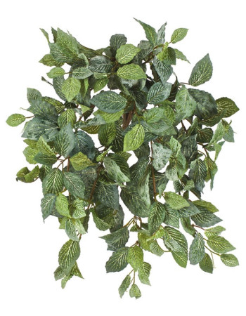 Фиттония Свит ампельная припыленная искусственная